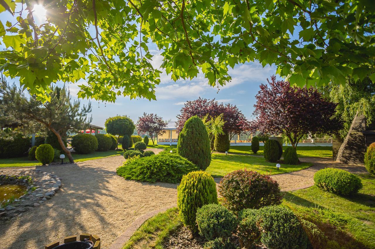 The Amber Business & Spa Hotel Olesnica  Bagian luar foto